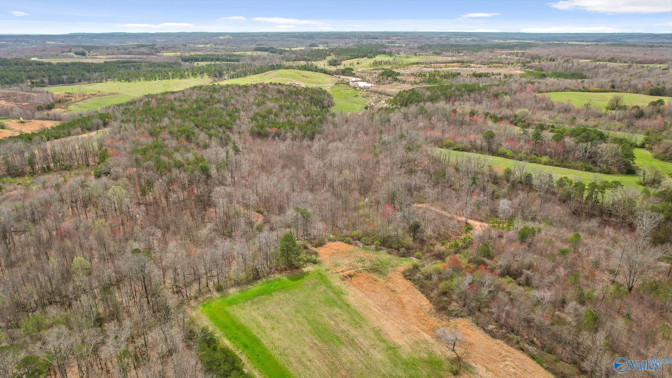 25052 Alabama Highway 71, Flat Rock, Alabama image 33