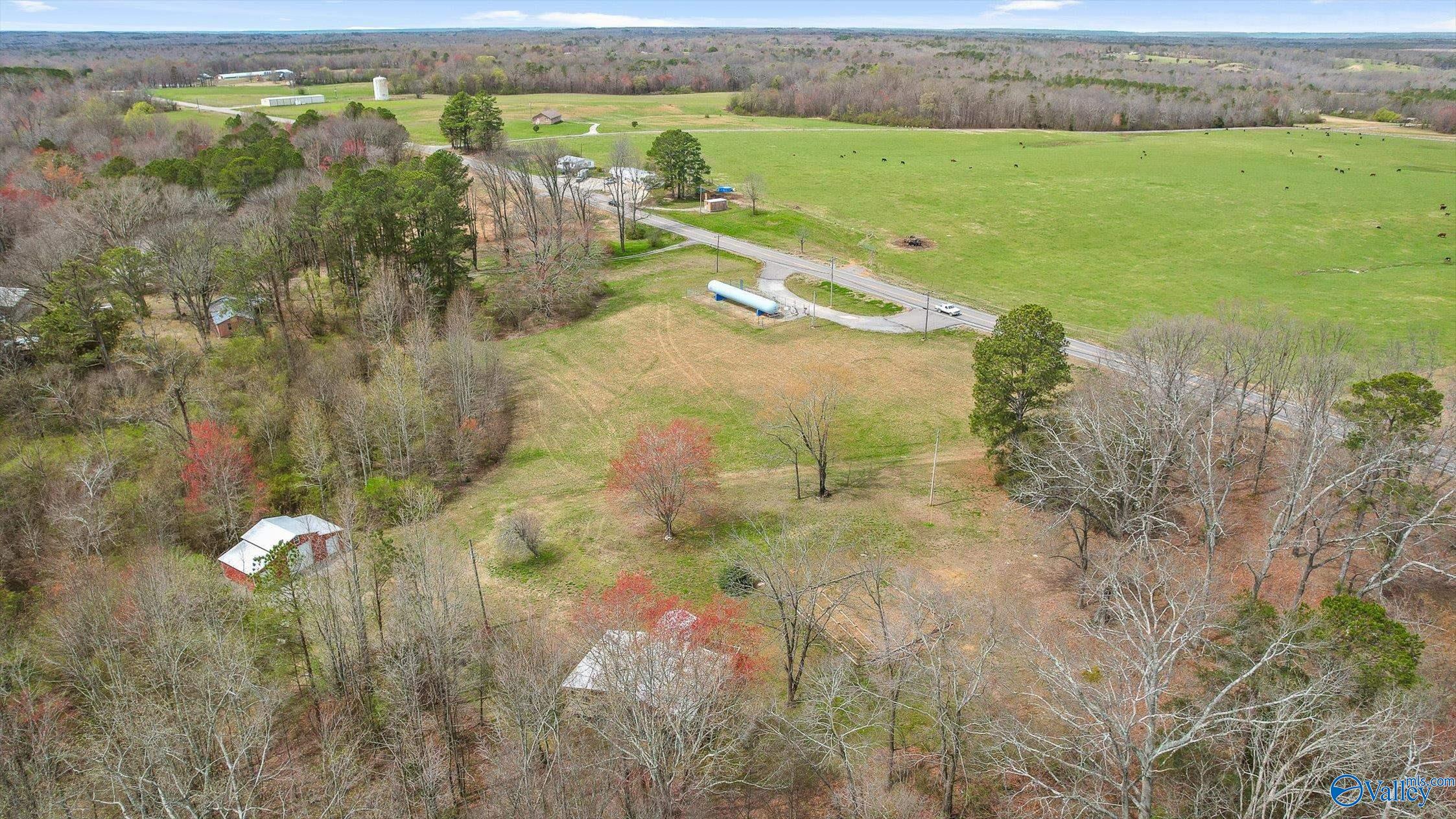 25052 Alabama Highway 71, Flat Rock, Alabama image 30