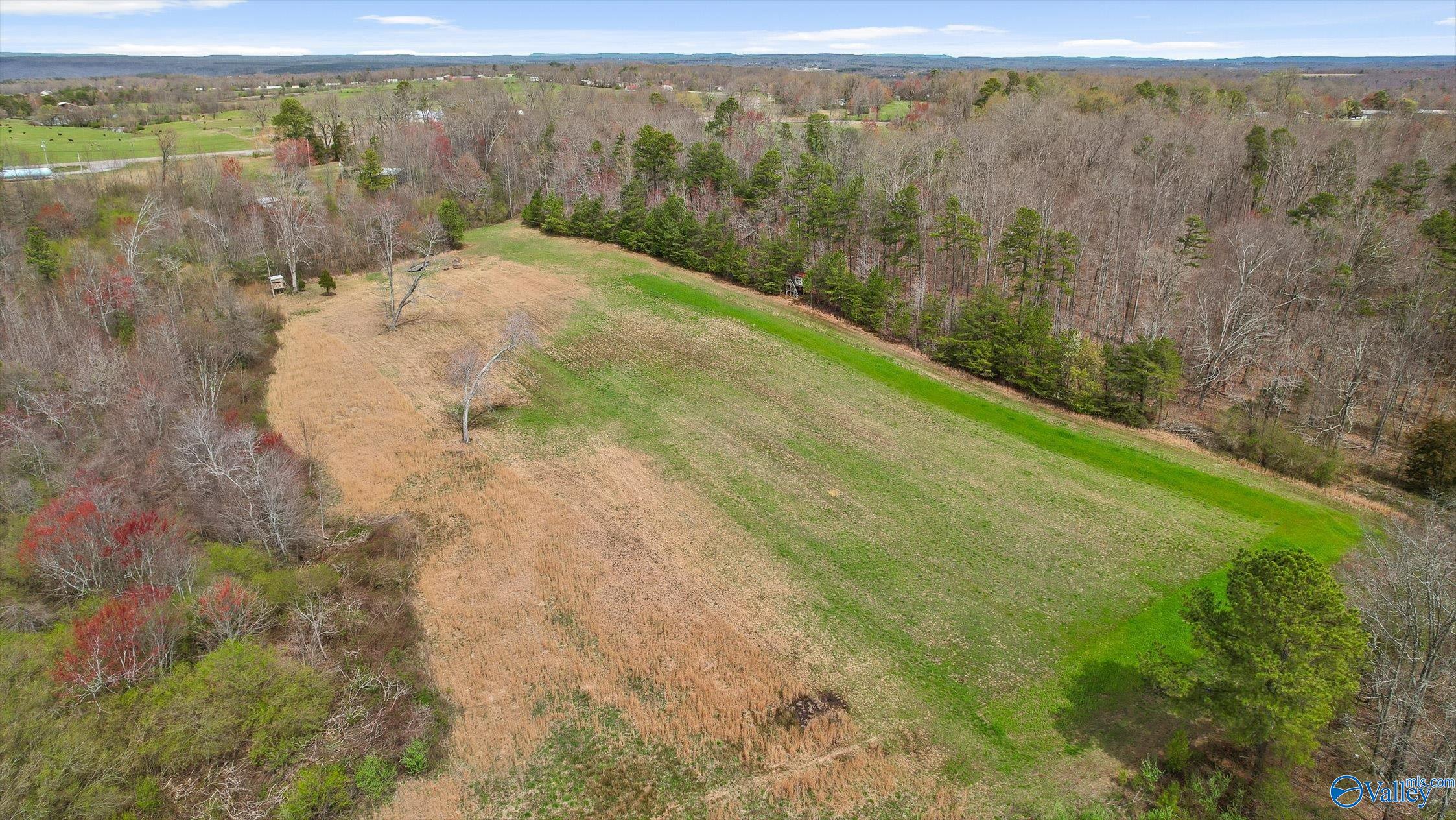 25052 Alabama Highway 71, Flat Rock, Alabama image 32