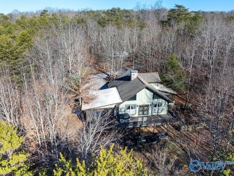 Photo of 288 Road 9072, Mentone, AL 35984 (MLS # 21908964)
