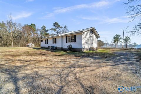 Photo of 272 County Road 702, Groveoak, AL 35975 (MLS # 21909249)