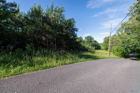Vacant Land For Sale - 14 ACRES Wills Creek Road<br/> Fort Payne, AL 35968