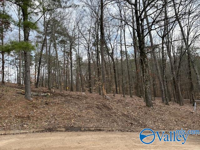 Lot 24 Hualapai Lane, Guntersville, Alabama image 3