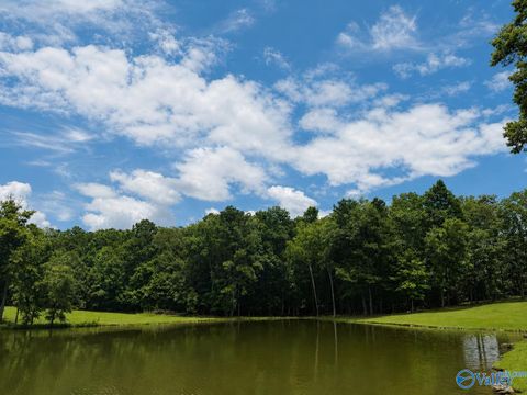 Vacant Land For Sale - LOT 13 County Road 131<br/> Cedar Bluff, AL 35959