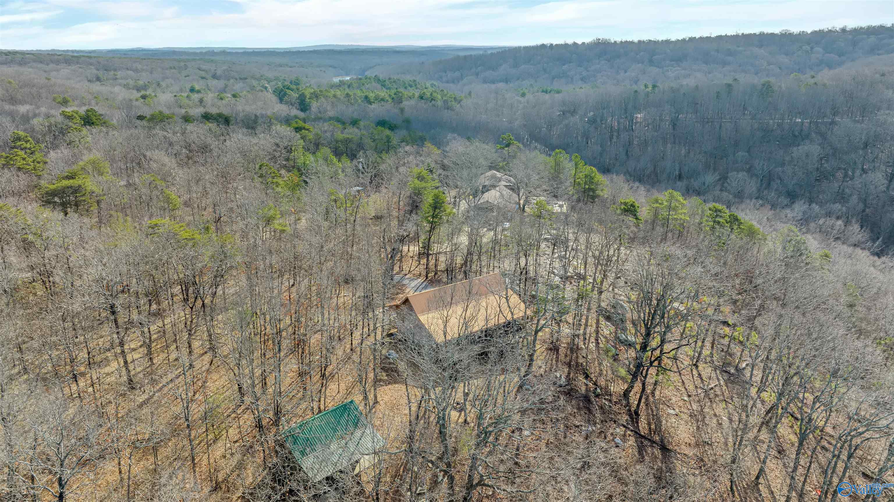 15879 County Road 89, Mentone, Alabama image 42