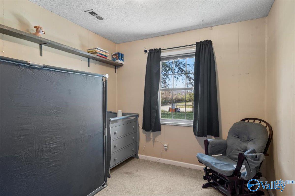 197 Sam Maples Road, New Hope, Alabama image 8