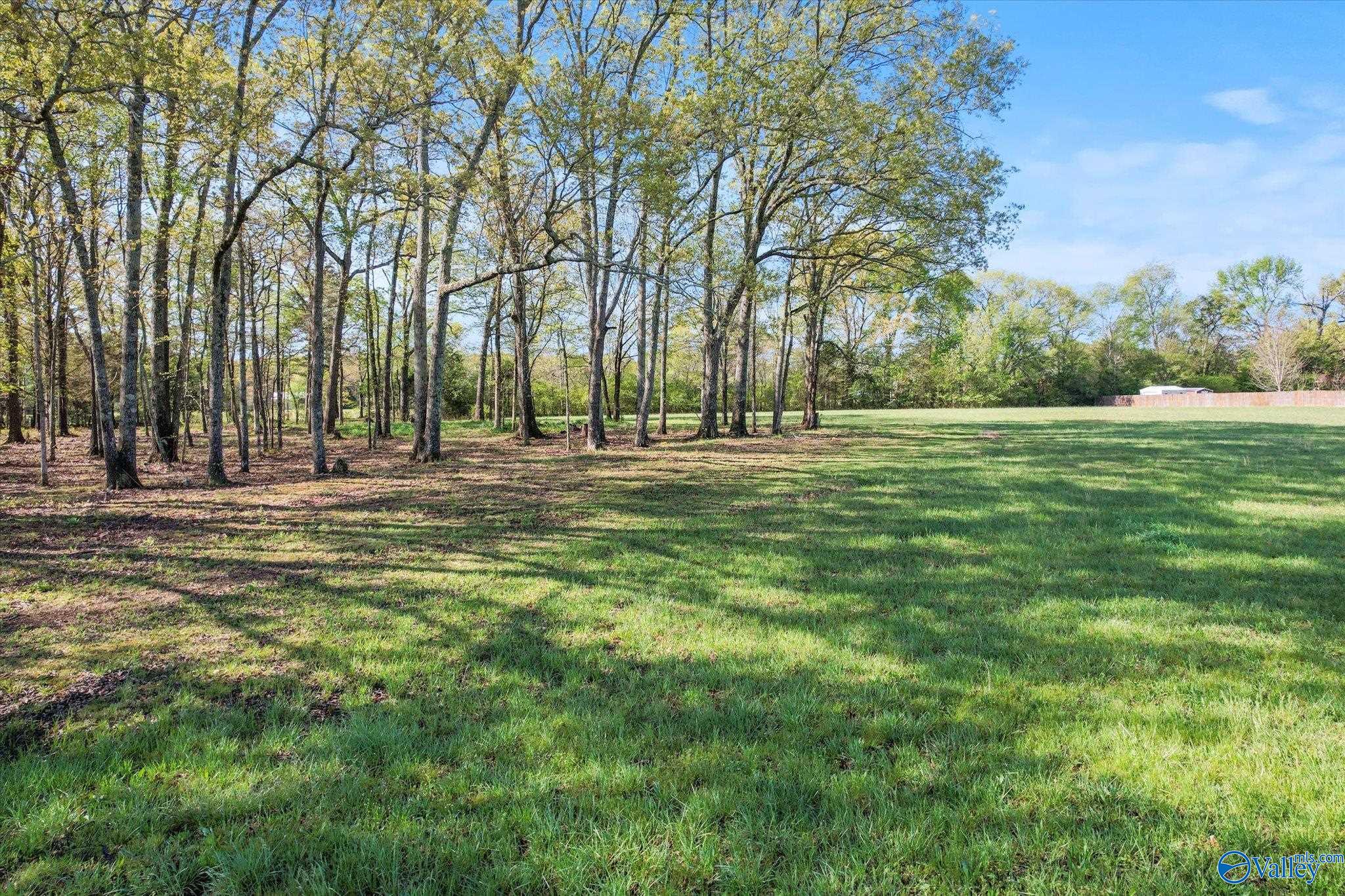 1239 Scott Road, Hazel Green, Alabama image 21