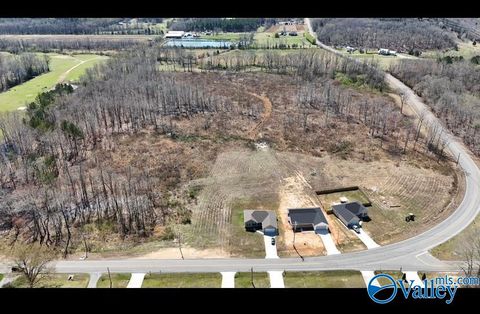 Vacant Land For Sale - 1399 Woods Cove Road<br/> Jackson County, Scottsboro, AL 35768