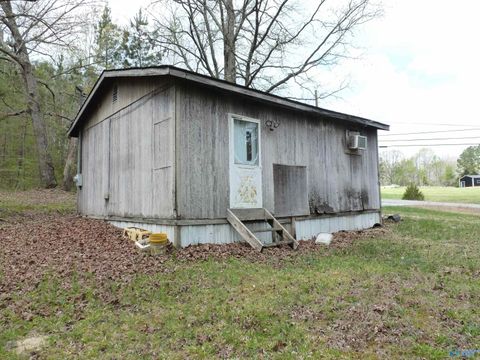 Photo of 2330 Ligon Springs Road, Russellville, AL 35654 (MLS # 21913940)