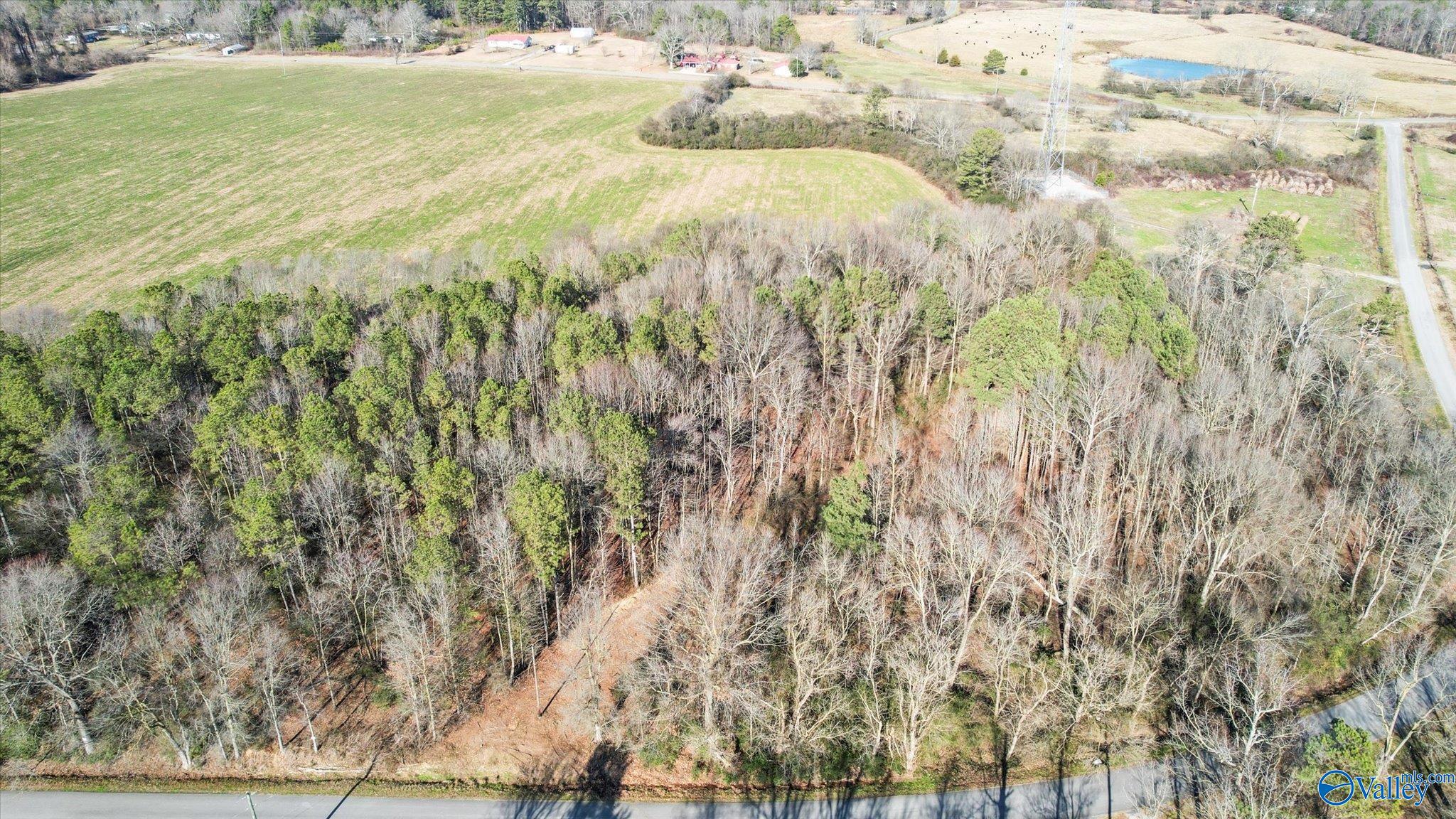 39 AC Union Grove Road, Union Grove, Alabama image 8