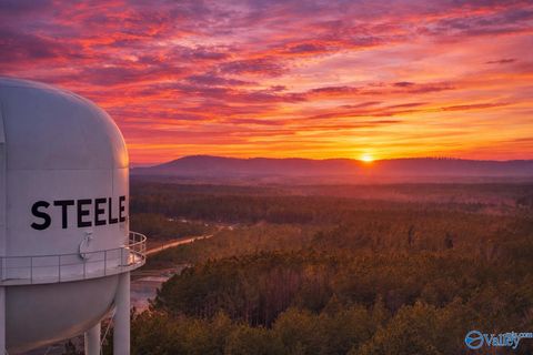 Vacant Land For Sale - 38.1 ACRES Steele Station Road<br/> Saint Clair County, Steele, AL 35987