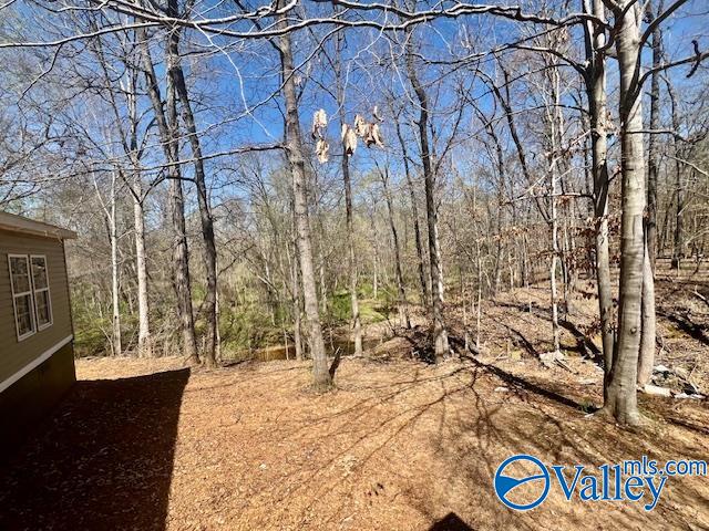 11750 Cowford Road, Athens, Alabama image 24