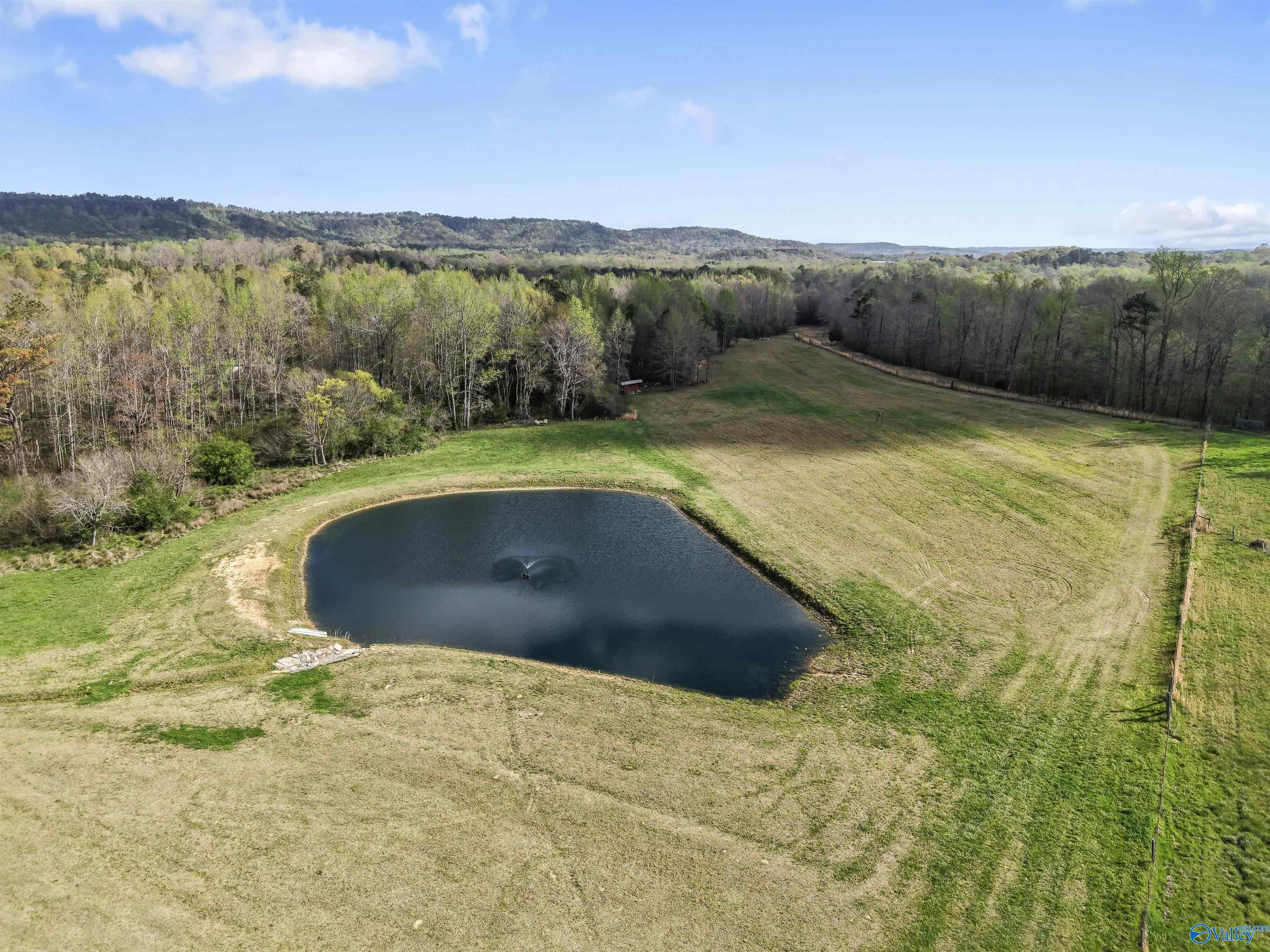 485 Moody Chapel Road, Altoona, Alabama image 11