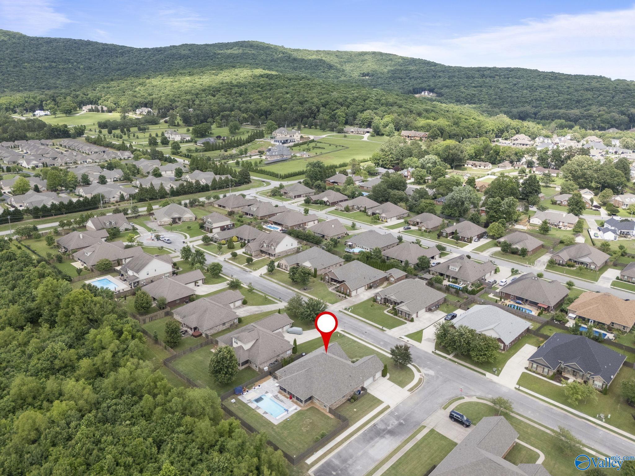 2514 Caldwell Park Court, Owens Cross Roads, Alabama image 31