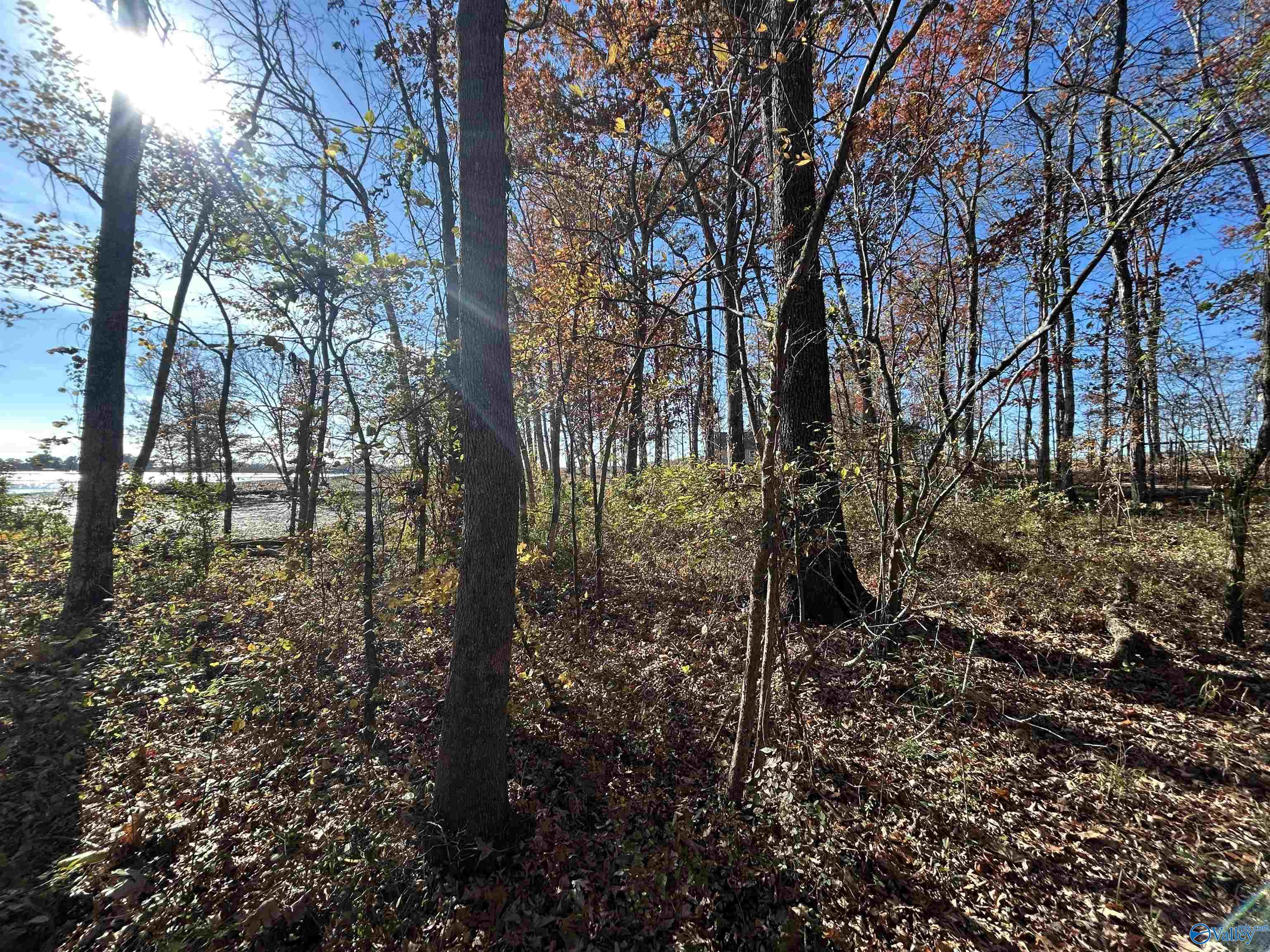 Lot 13-A County Road 671, Cedar Bluff, Alabama image 3