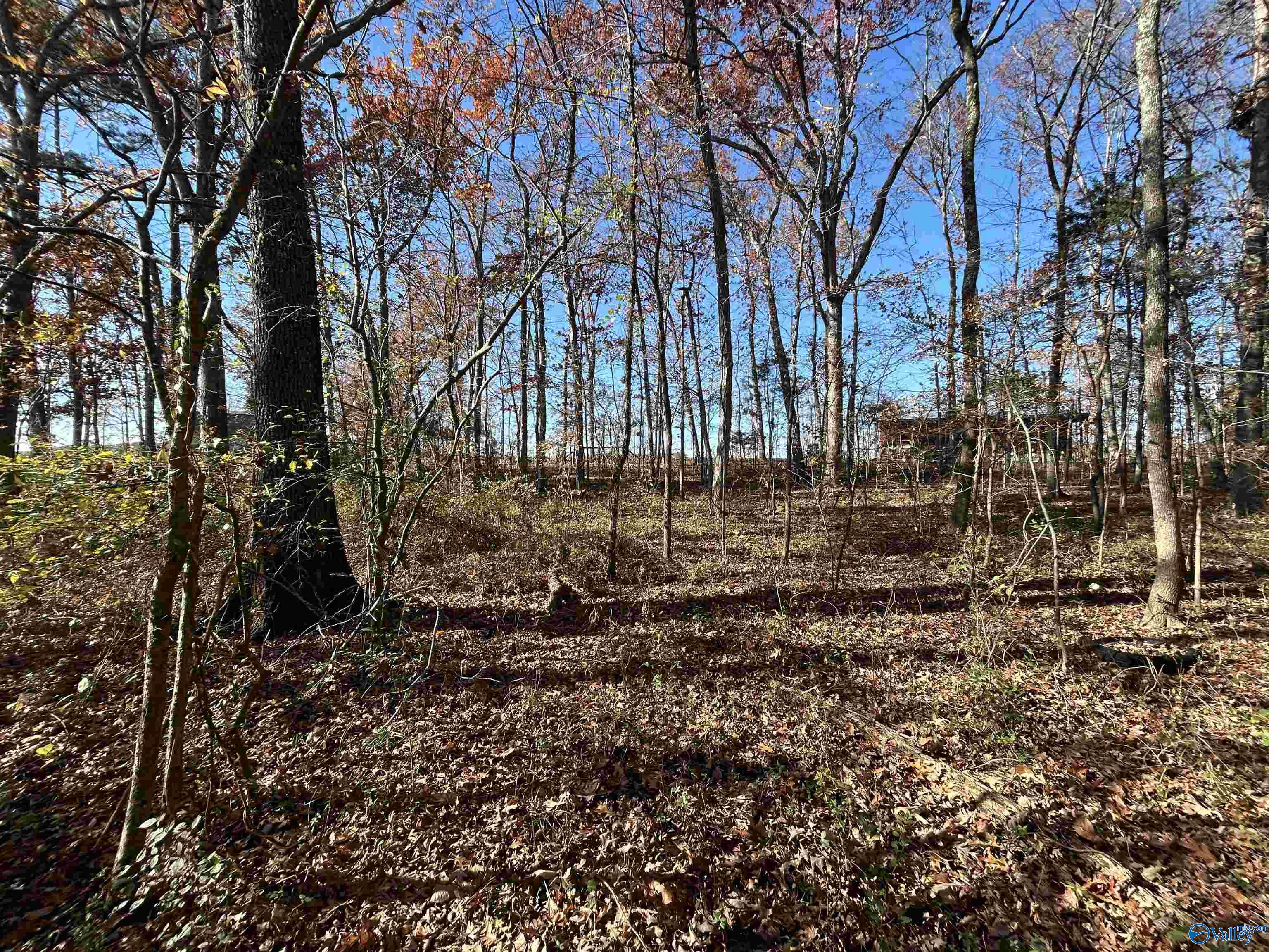 Lot 13-A County Road 671, Cedar Bluff, Alabama image 4