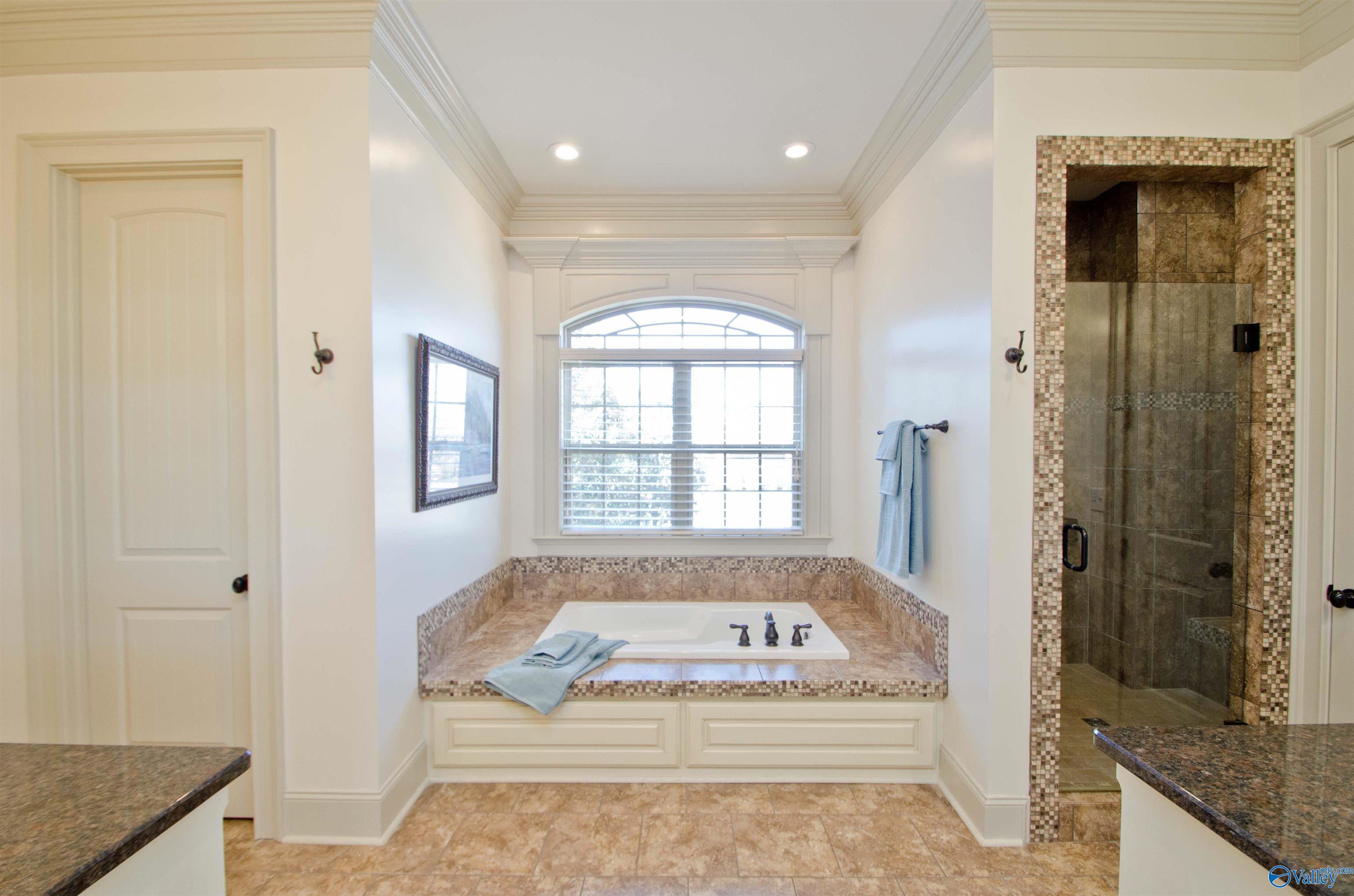 12351 Elmhurst Drive, Athens, Alabama image 24