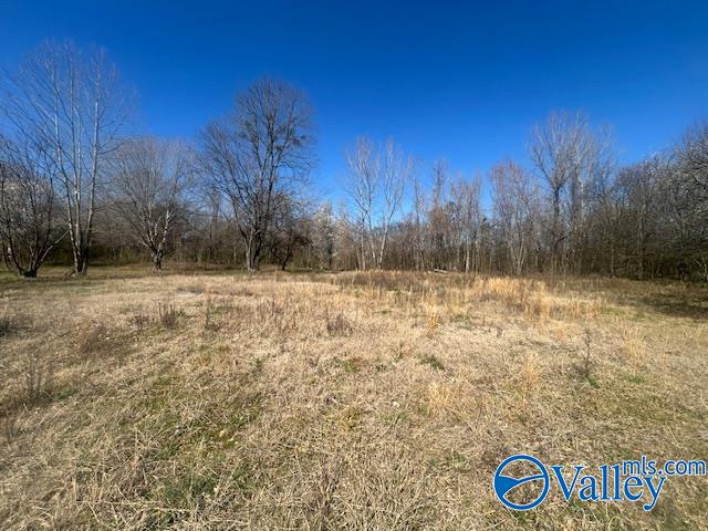 125 Riverdale Drive, Laceys Spring, Alabama image 3
