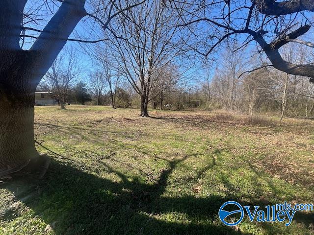 125 Riverdale Drive, Laceys Spring, Alabama image 11