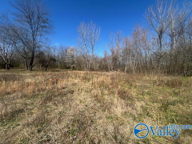 125 Riverdale Drive, Laceys Spring, Alabama image 8