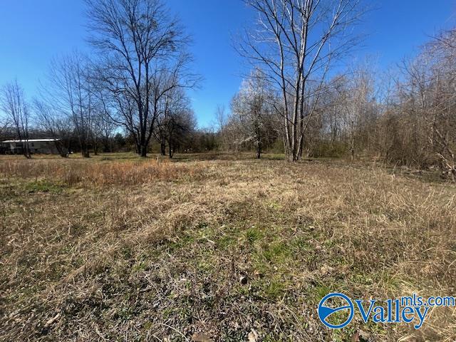 125 Riverdale Drive, Laceys Spring, Alabama image 9