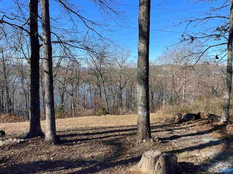 Vacant Land For Sale - 1.12 ACRES Savory Drive<br/> Jackson County, Scottsboro, AL 35769