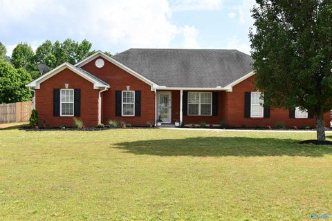 Homes For Sale - 101 Bramble Way<br/> Toney, AL 35773