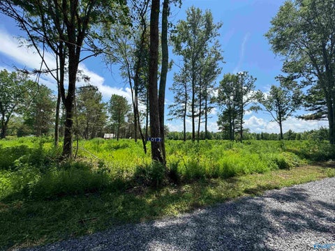Vacant Land For Sale - 7 Hogs Lane<br/> Albertville, AL 35951