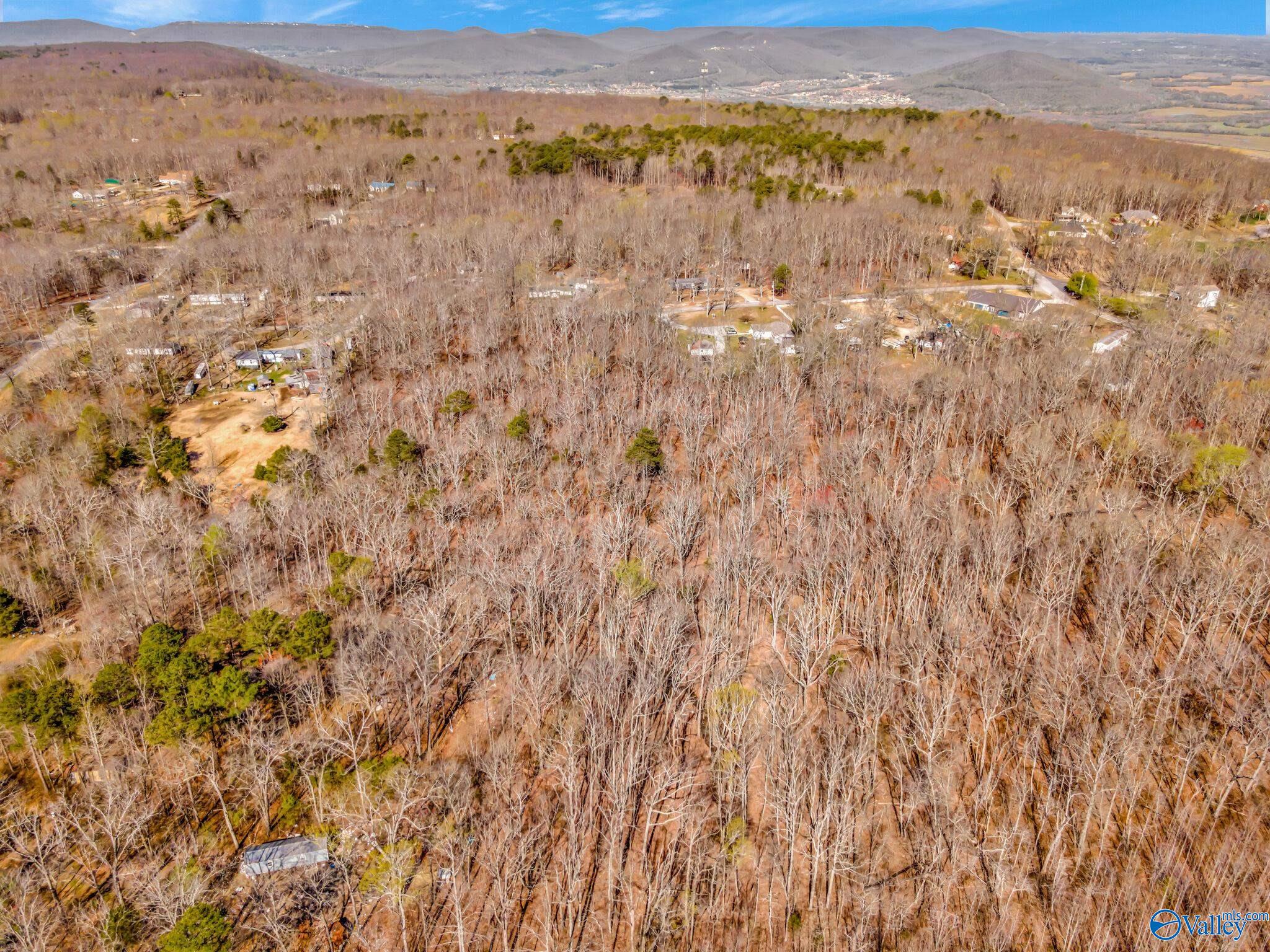 3 Acres Laurel Lane, Gurley, Alabama image 8