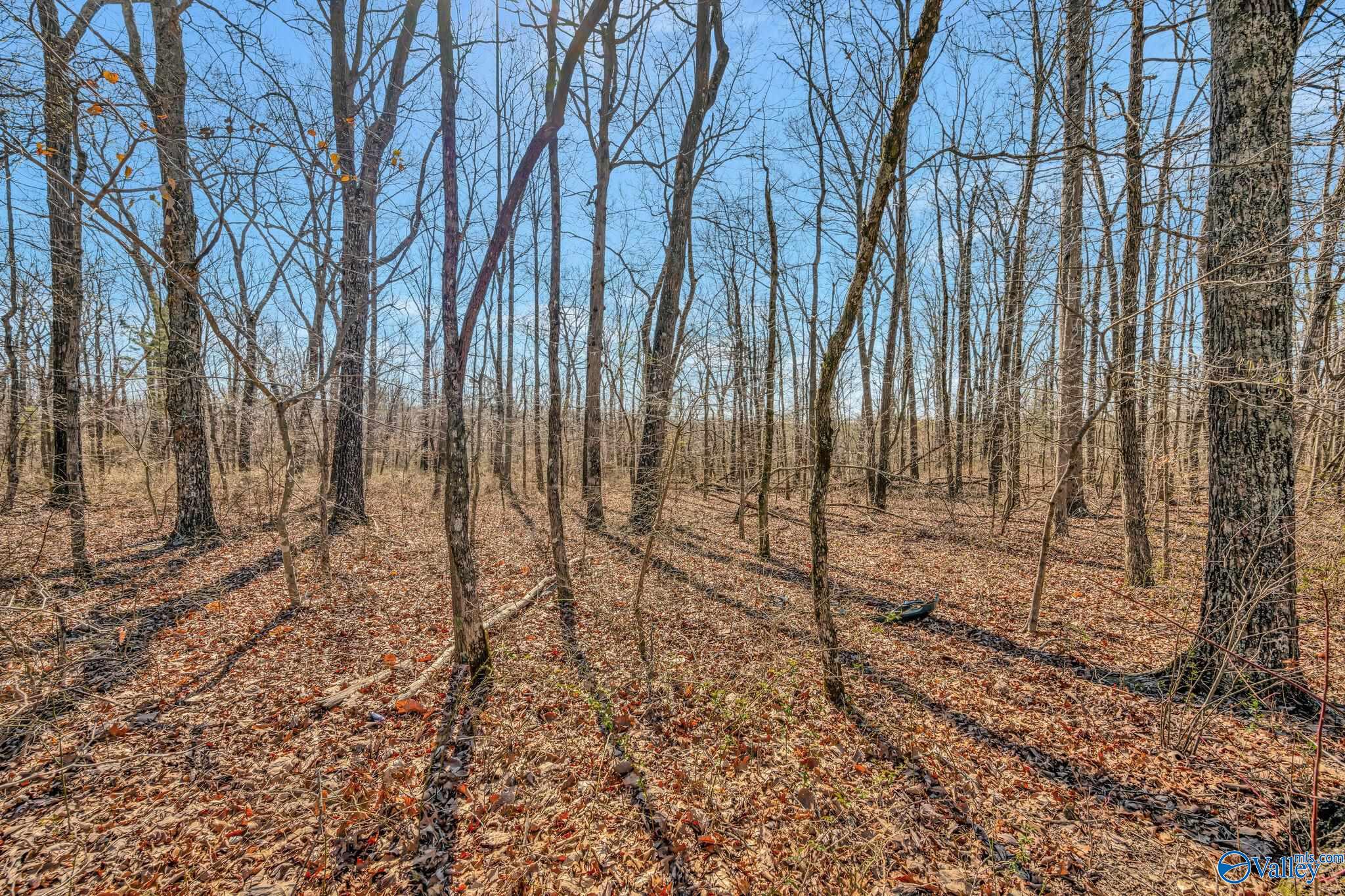 3 Acres Laurel Lane, Gurley, Alabama image 19