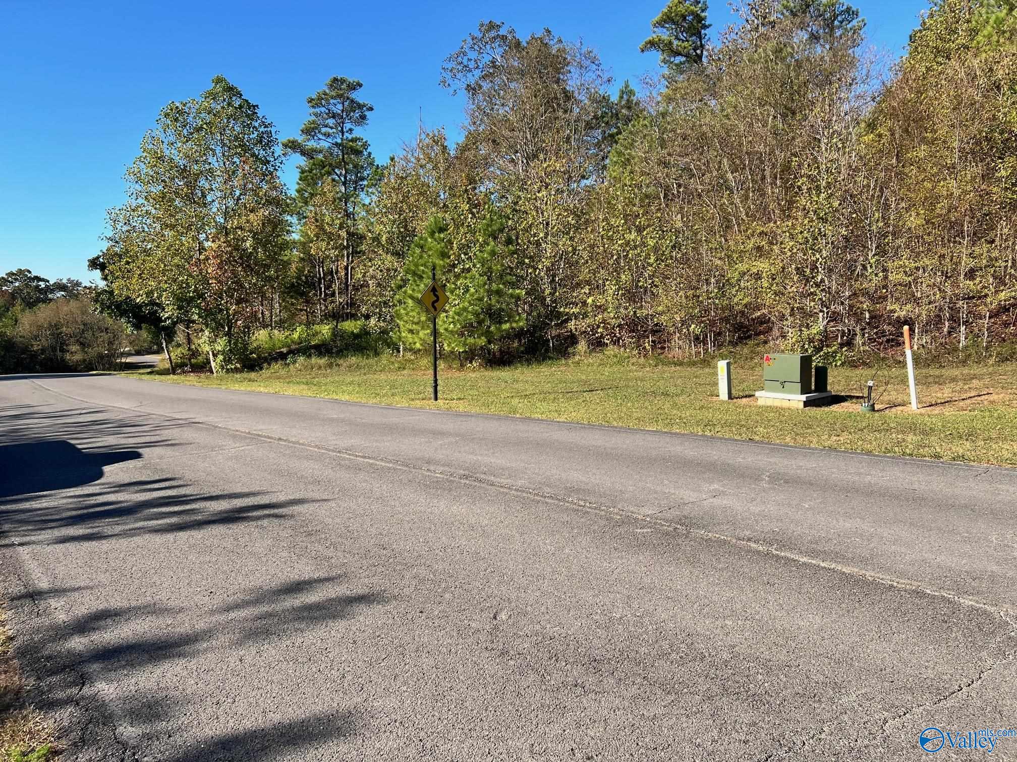 Lot 252 Lookout Mountain Drive, Scottsboro, Alabama image 4