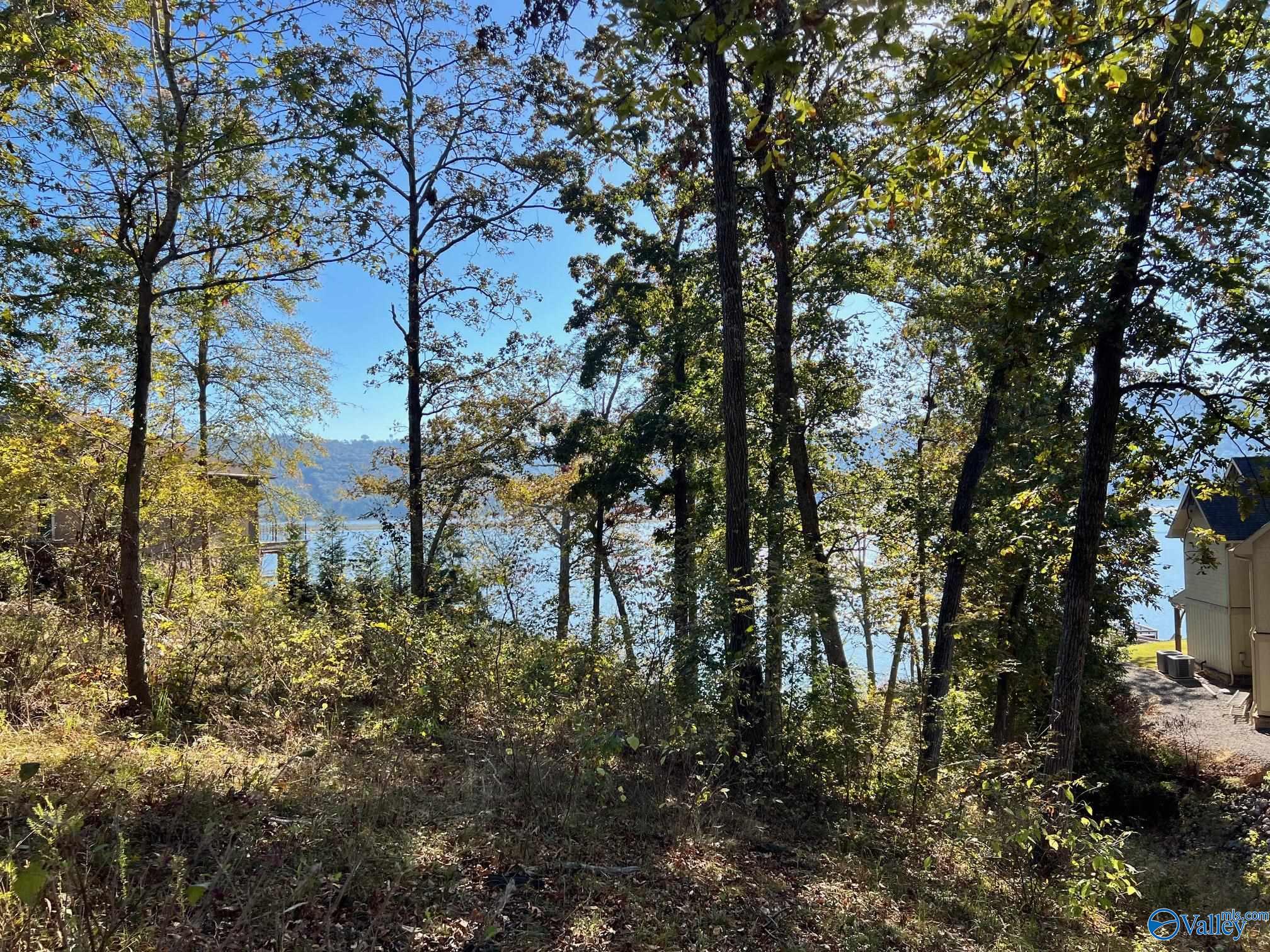 Lot 252 Lookout Mountain Drive, Scottsboro, Alabama image 3