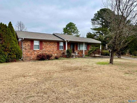 Photo of 222 Clearview Street SW, Decatur, AL 35601 (MLS # 21905627)