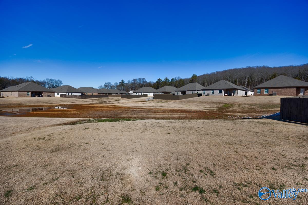 9539 Hampton Oak Drive, Owens Cross Roads, Alabama image 37