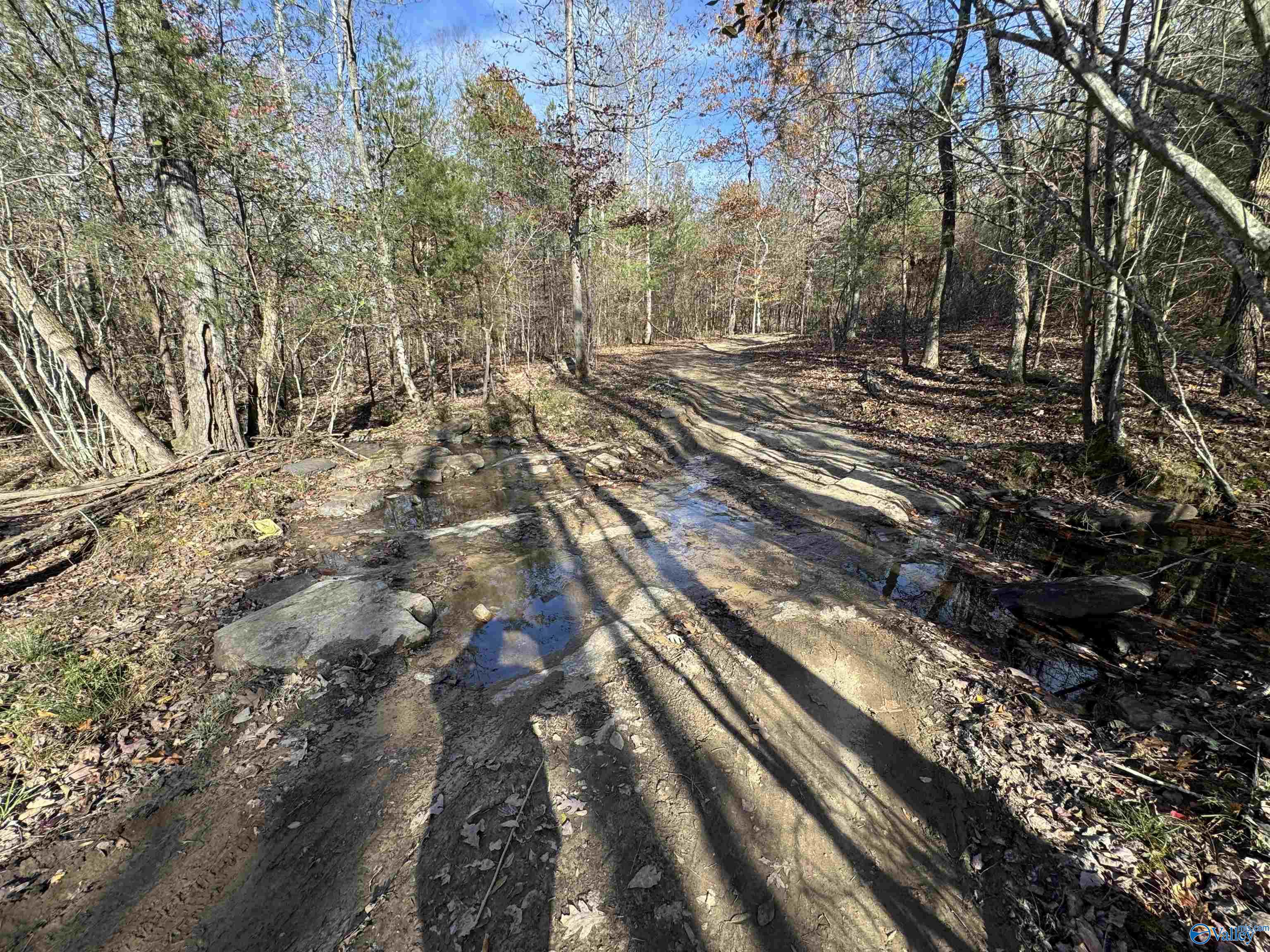 8.02 Acres County Road 361, Pisgah, Alabama image 7