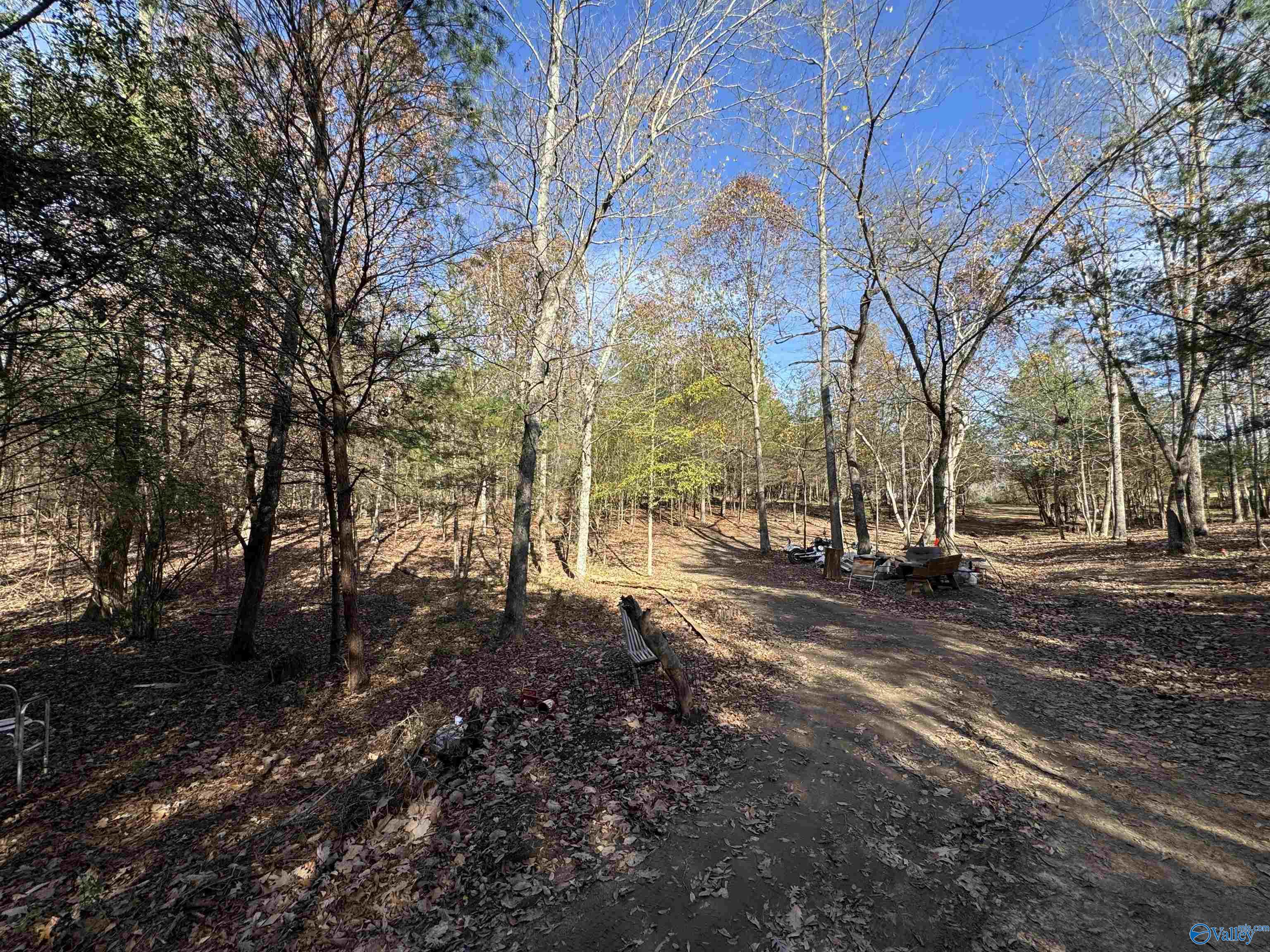 8.02 Acres County Road 361, Pisgah, Alabama image 3