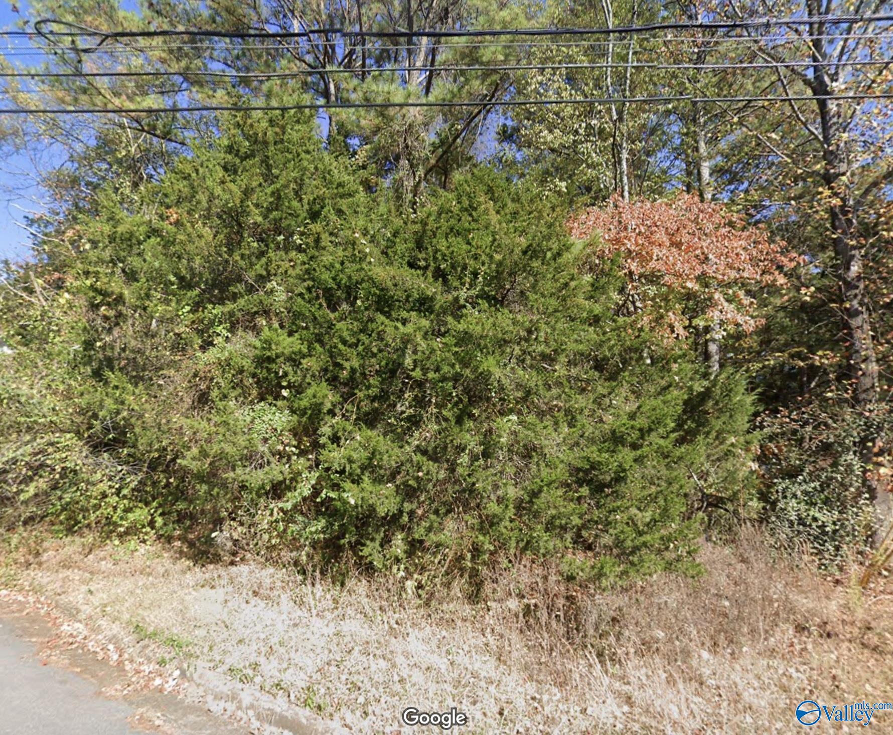 2817 Coosa Circle, Huntsville, Alabama image 3