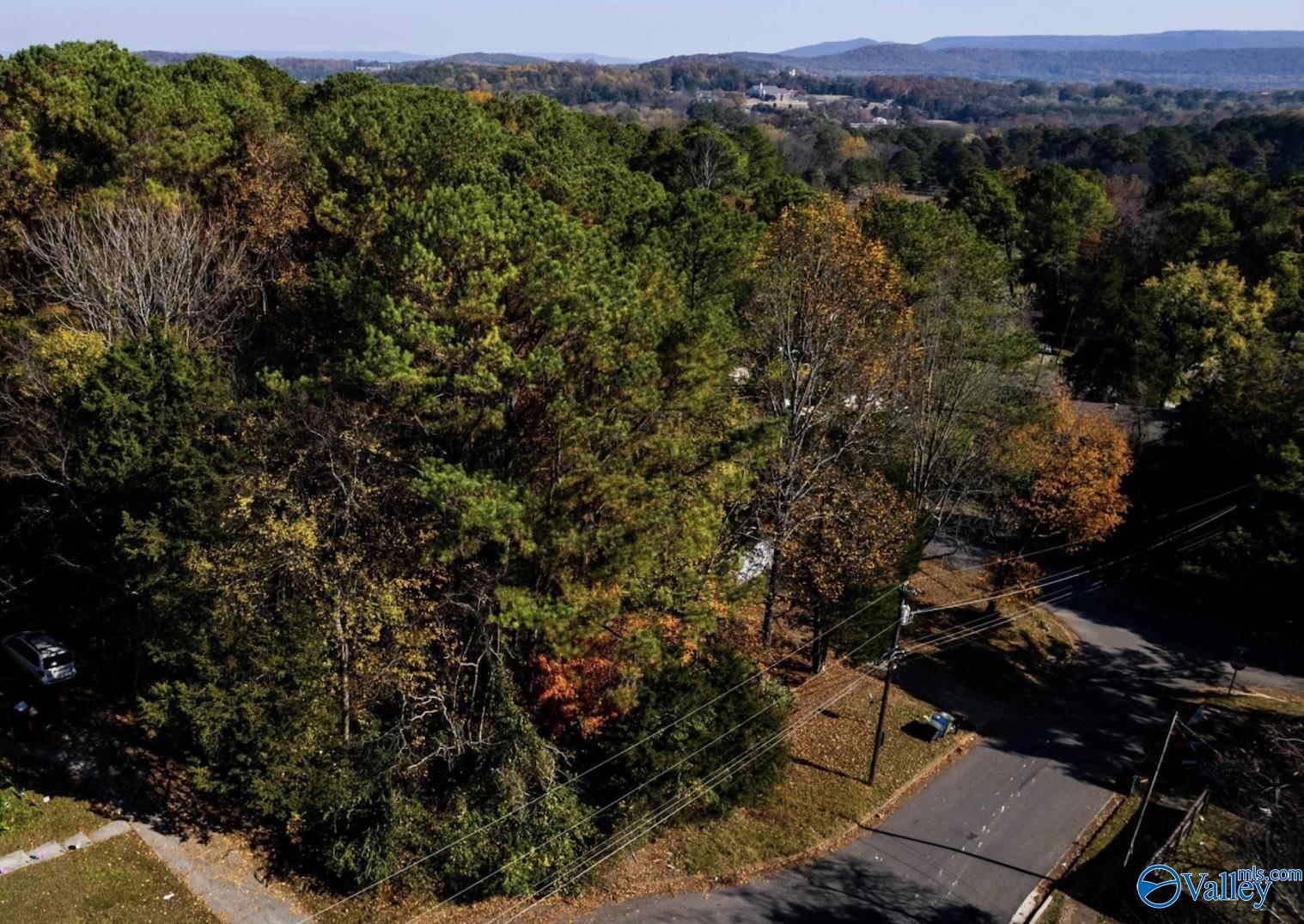 2817 Coosa Circle, Huntsville, Alabama image 4