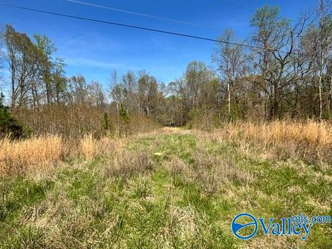 Vacant Land For Sale - 19 ACRES County Road 148<br/> Stevenson, AL 35772