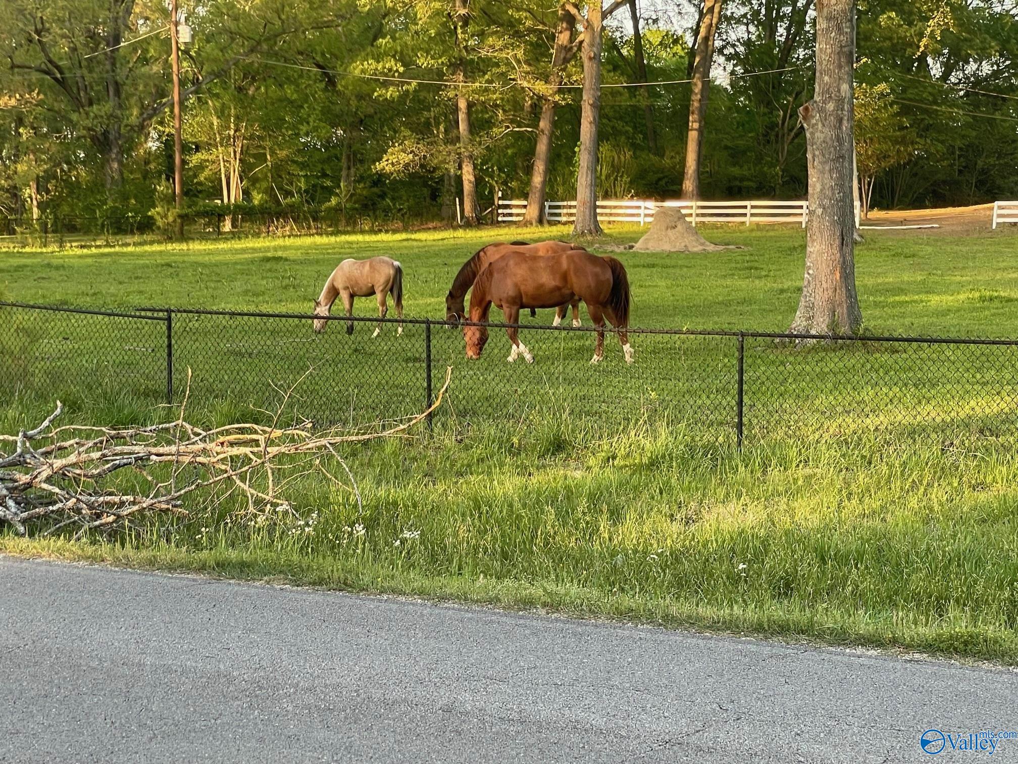 1617 Pleasant Valley Road, Rainbow City, Alabama image 3