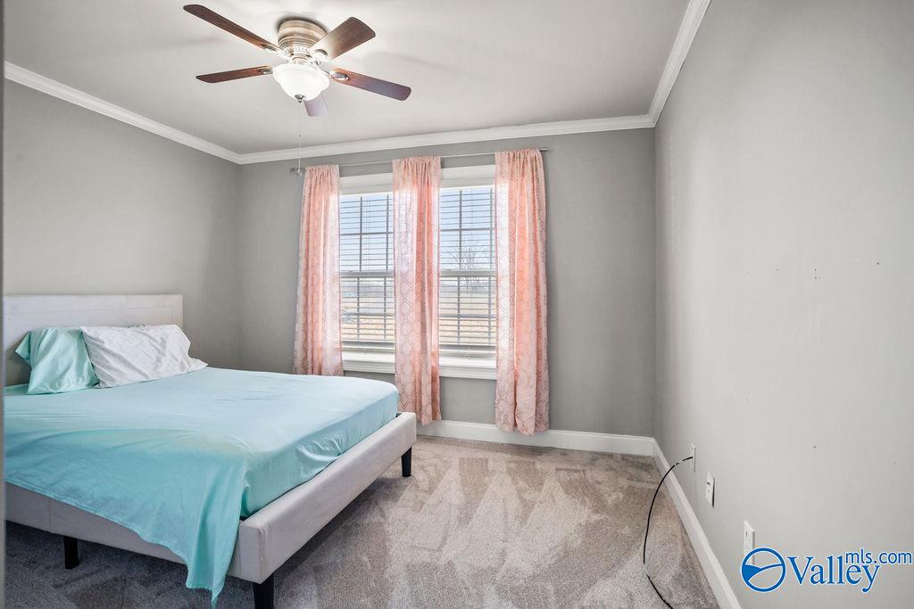 1429 Thompson Falls Road, Guntersville, Alabama image 11