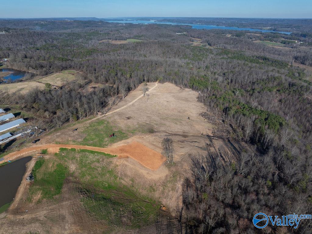 1429 Thompson Falls Road, Guntersville, Alabama image 34