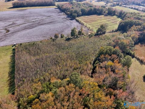Vacant Land For Sale - 17.82 ACRES County Road 67<br/> Lexington, AL 35648