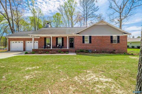 2075 Jane Lane Southside AL 35907