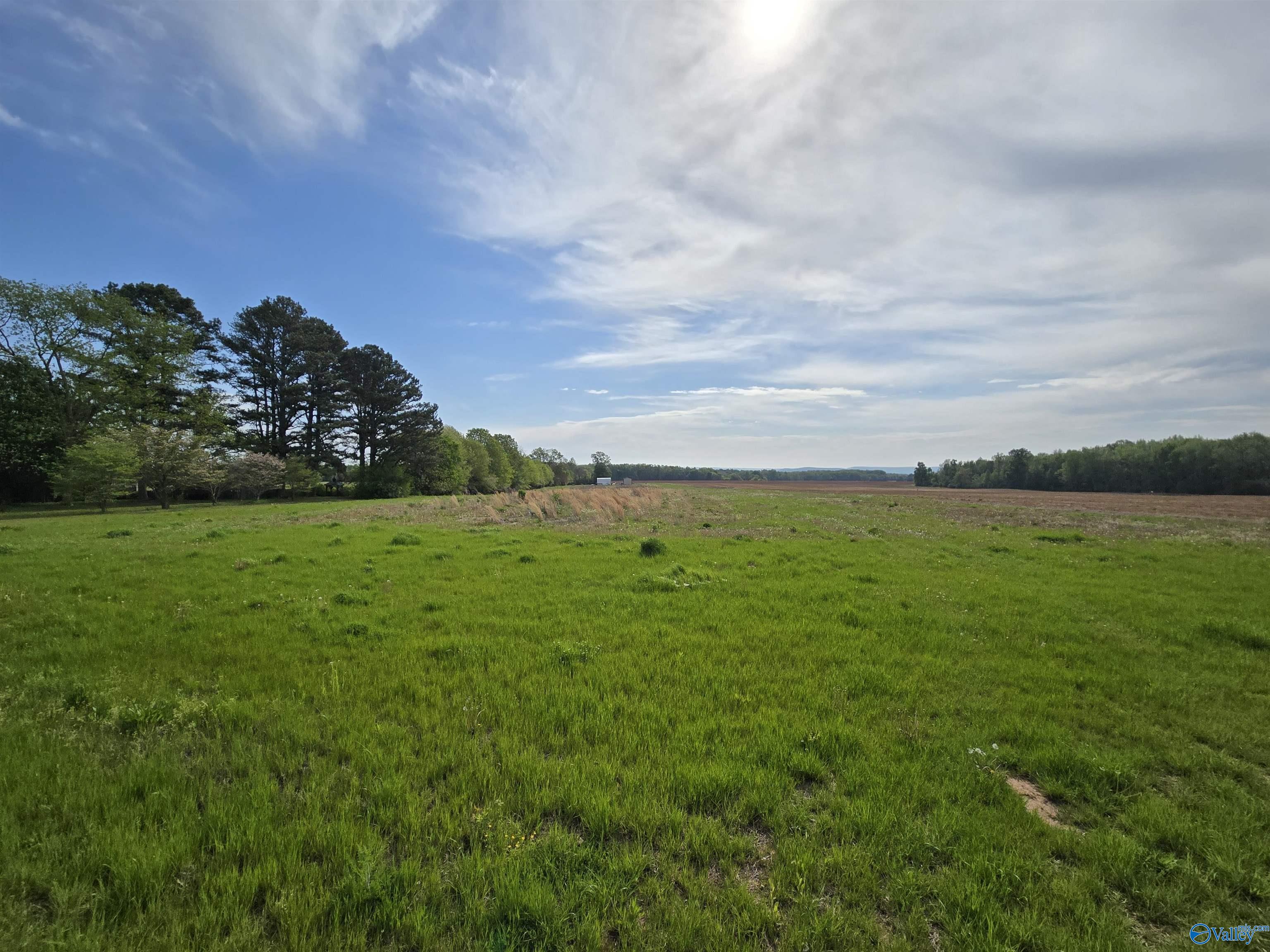 7.83 Acres Walnut Grove Road, New Market, Alabama image 1