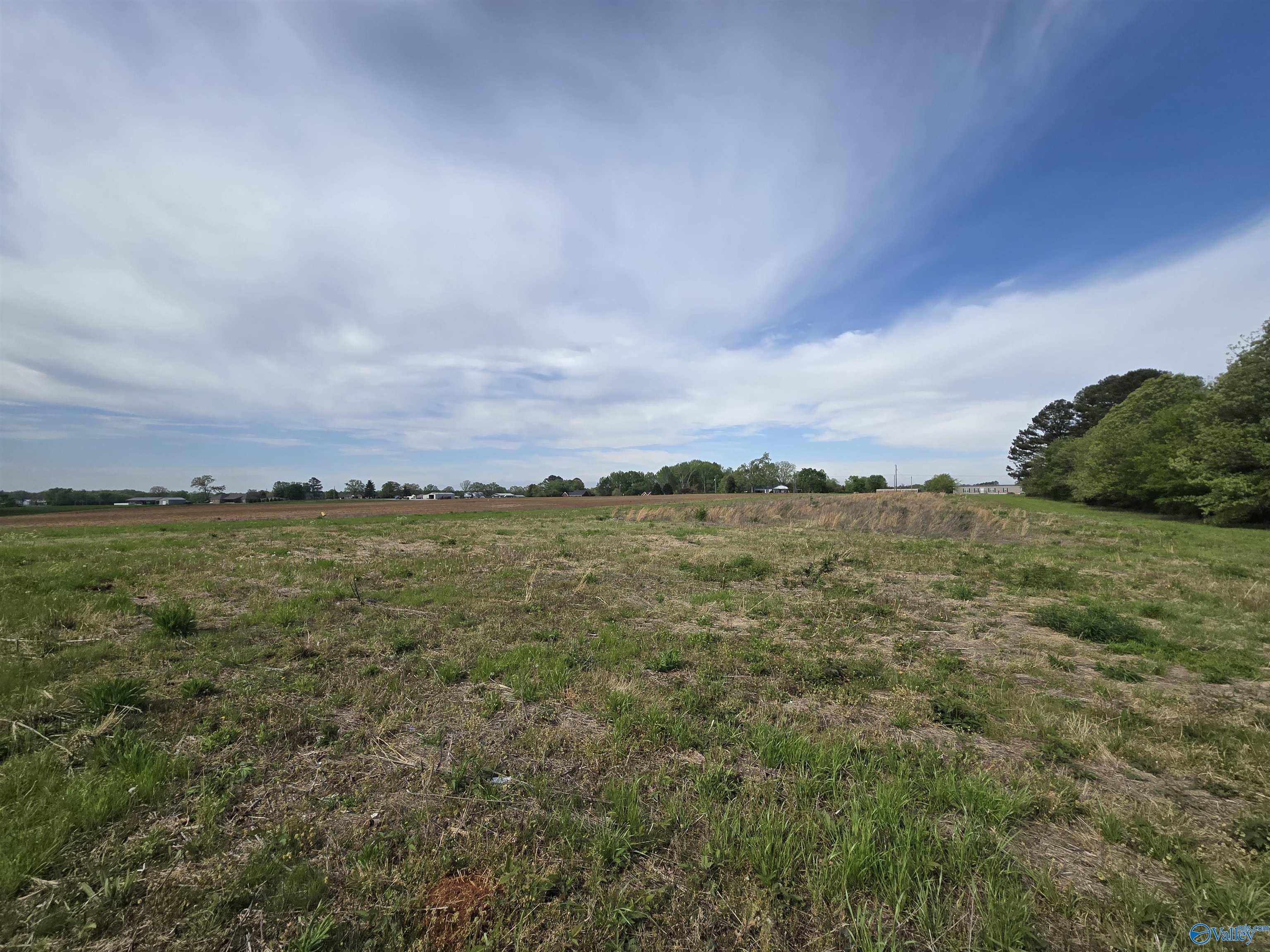 7.83 Acres Walnut Grove Road, New Market, Alabama image 4