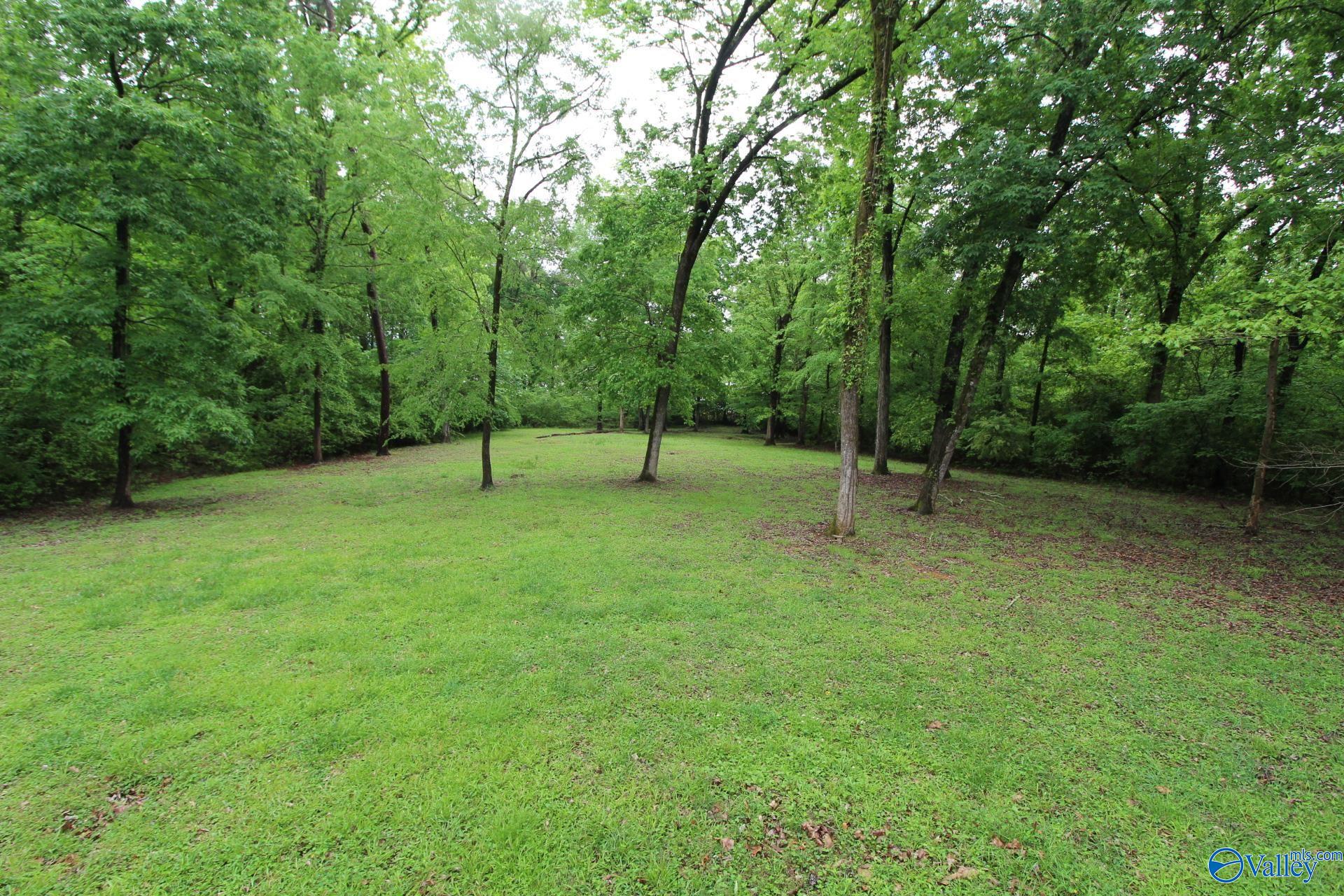 730 John Cabaniss Road, Langston, Alabama image 21