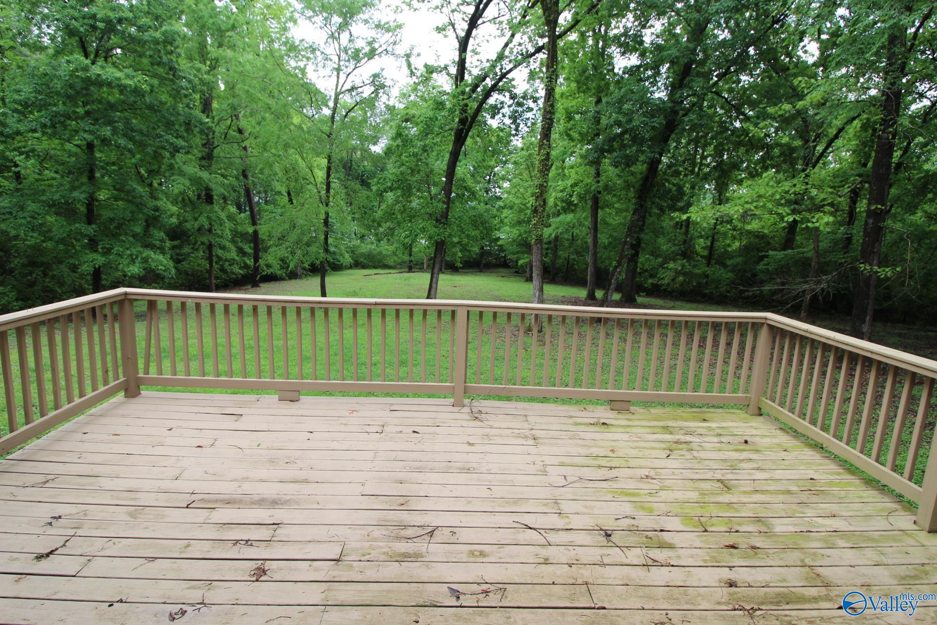 730 John Cabaniss Road, Langston, Alabama image 19