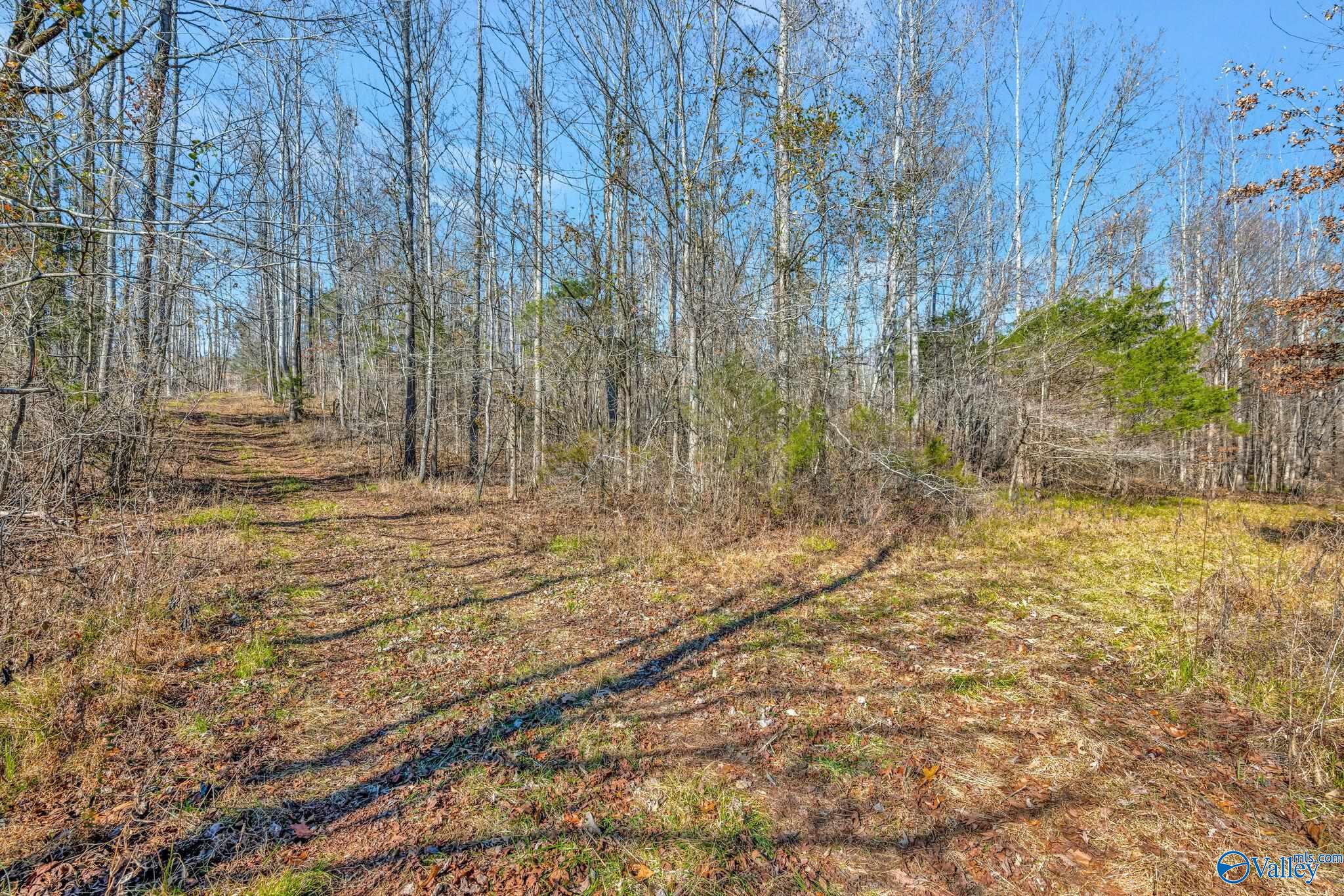 45 Acres Marvaline Drive, New Market, Alabama image 37