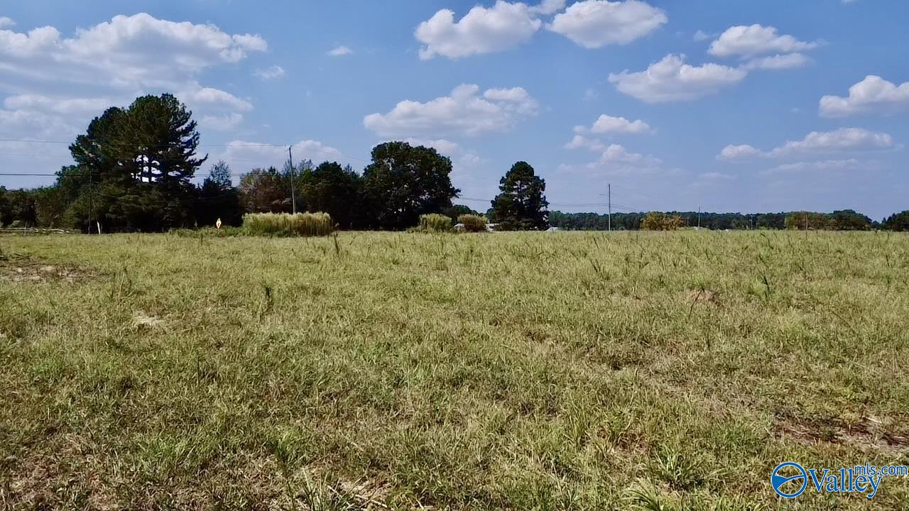 Lot 5 Scott Road, Hazel Green, Alabama image 2